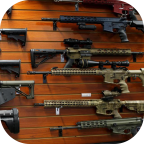 Firearms