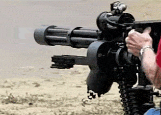 Ultrasonic Cleaner For Guns
