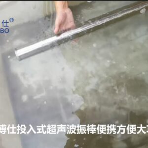 Granbosonic Immersible Ultrasonic Cleaner Rod